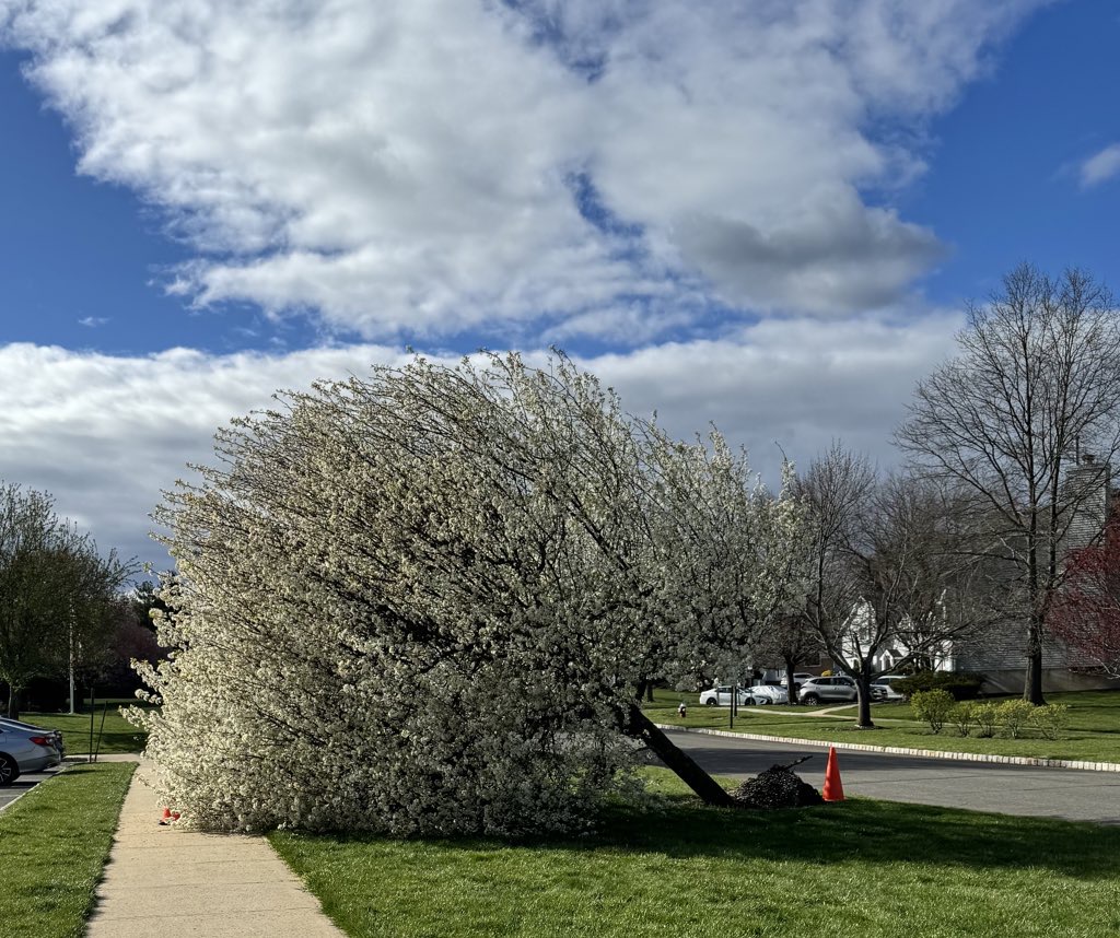 अतिवृष्टि, भूकंप…